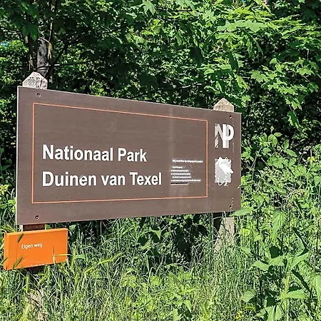 In Texel Near And Nature Reserve